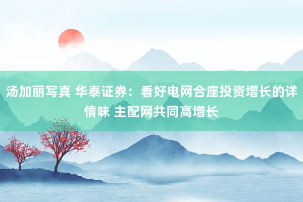 汤加丽写真 华泰证券：看好电网合座投资增长的详情味 主配网共同高增长