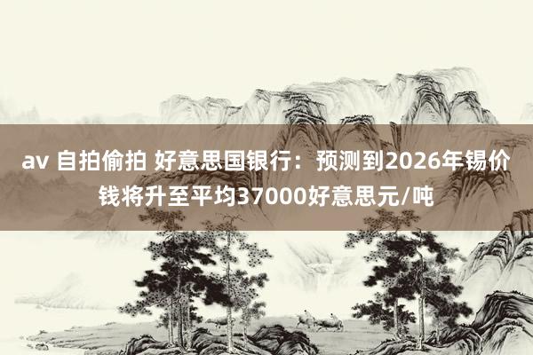 av 自拍偷拍 好意思国银行：预测到2026年锡价钱将升至平均37000好意思元/吨
