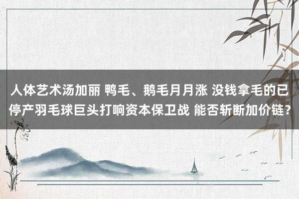 人体艺术汤加丽 鸭毛、鹅毛月月涨 没钱拿毛的已停产羽毛球巨头打响资本保卫战 能否斩断加价链？