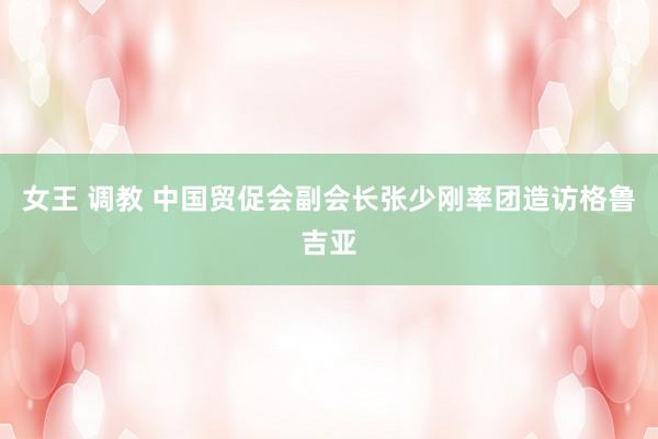 女王 调教 中国贸促会副会长张少刚率团造访格鲁吉亚