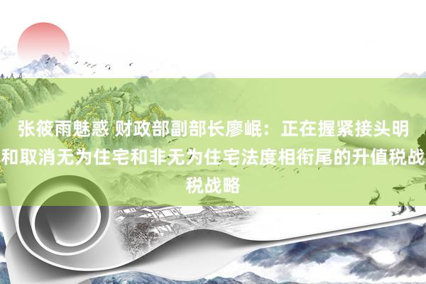 张筱雨魅惑 财政部副部长廖岷：正在握紧接头明确和取消无为住宅和非无为住宅法度相衔尾的升值税战略