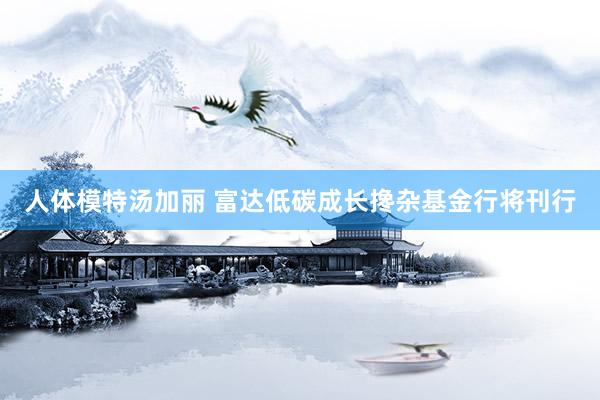 人体模特汤加丽 富达低碳成长搀杂基金行将刊行