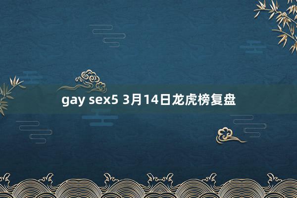 gay sex5 3月14日龙虎榜复盘