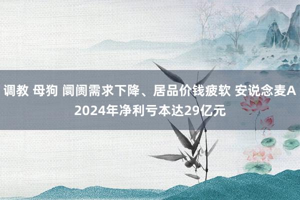 调教 母狗 阛阓需求下降、居品价钱疲软 安说念麦A2024年净利亏本达29亿元