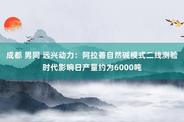 成都 男同 远兴动力：阿拉善自然碱模式二线测验时代影响日产量约为6000吨