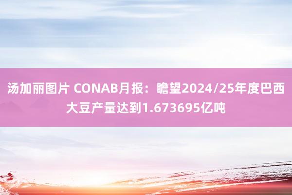 汤加丽图片 CONAB月报：瞻望2024/25年度巴西大豆产量达到1.673695亿吨