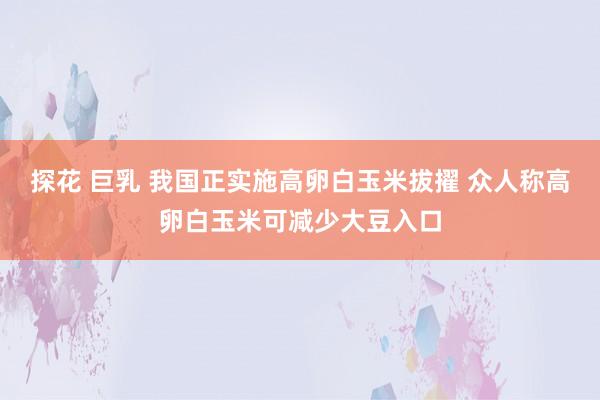 探花 巨乳 我国正实施高卵白玉米拔擢 众人称高卵白玉米可减少大豆入口