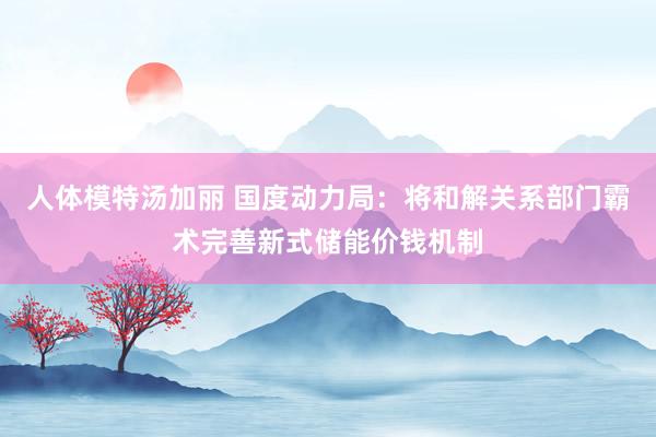 人体模特汤加丽 国度动力局：将和解关系部门霸术完善新式储能价钱机制