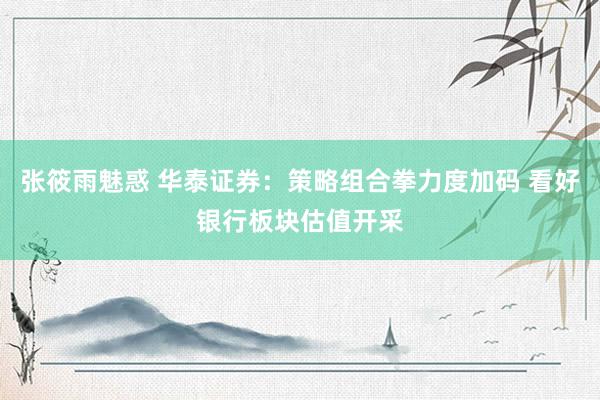张筱雨魅惑 华泰证券：策略组合拳力度加码 看好银行板块估值开采