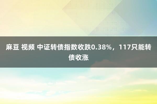 麻豆 视频 中证转债指数收跌0.38%，117只能转债收涨