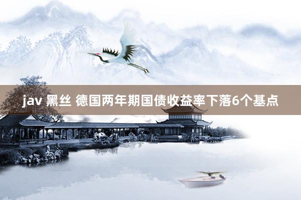 jav 黑丝 德国两年期国债收益率下落6个基点